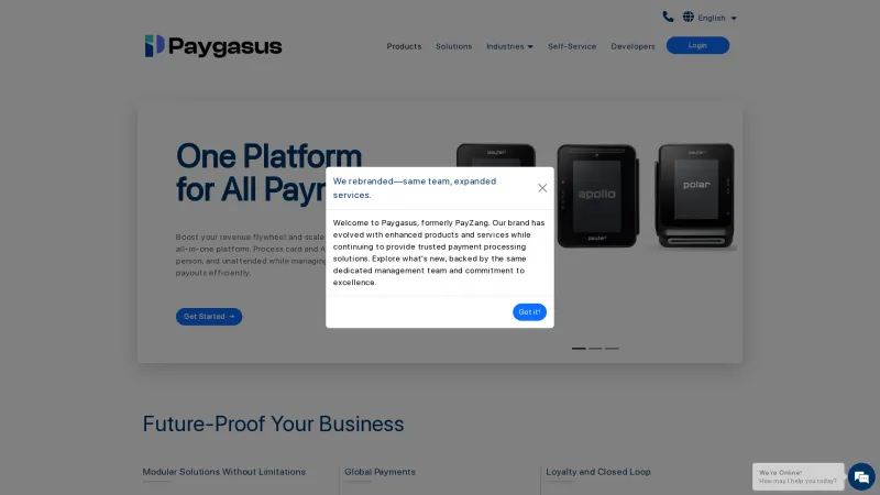 Homepage of PayZang