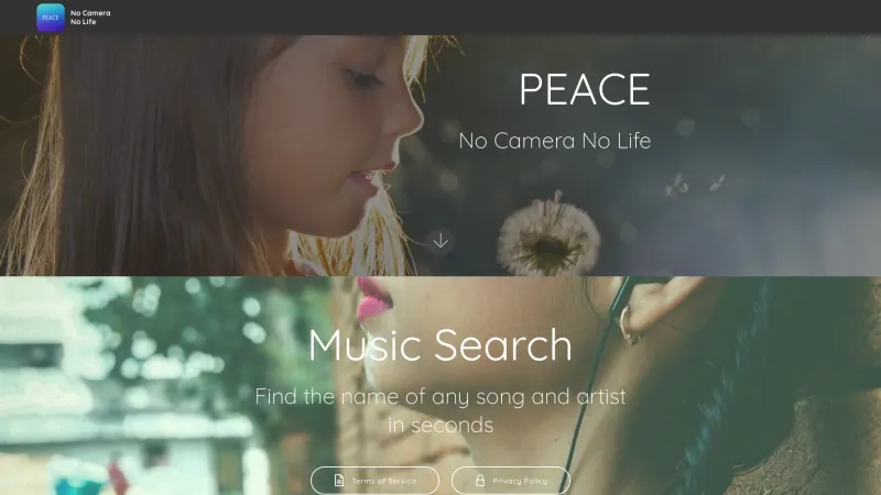 Homepage of Peace Silent Camera