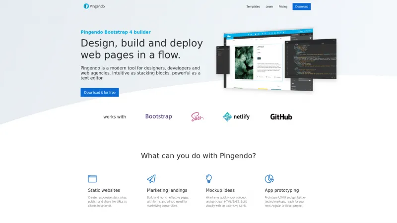 Homepage of Pingendo