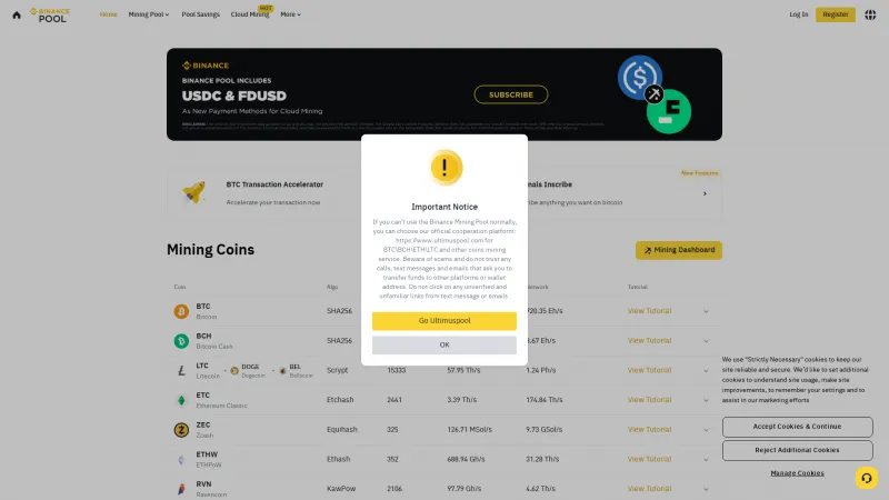 Homepage of Binance Pool