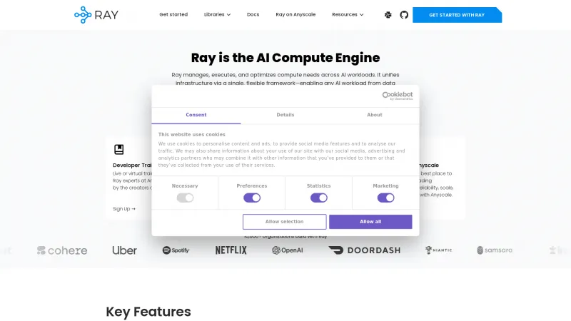 Homepage of Ray