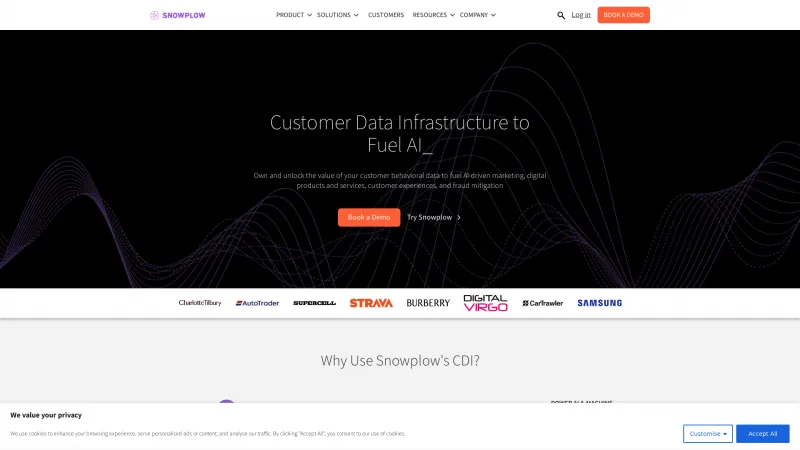 Homepage of Snowplow Analytics