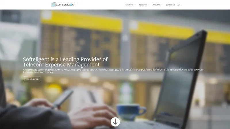 Homepage of Softeligent