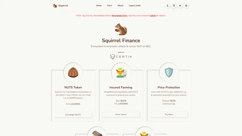 Homepage of Squirrel Finance