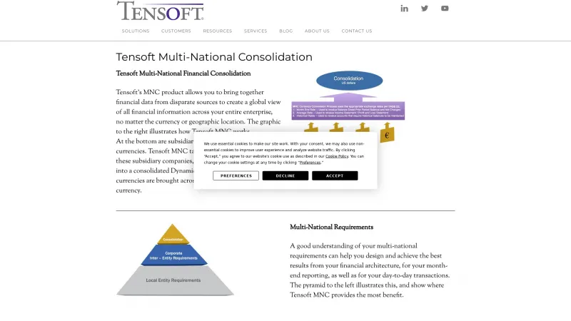 Homepage of Tensoft Multi-National Consolidation