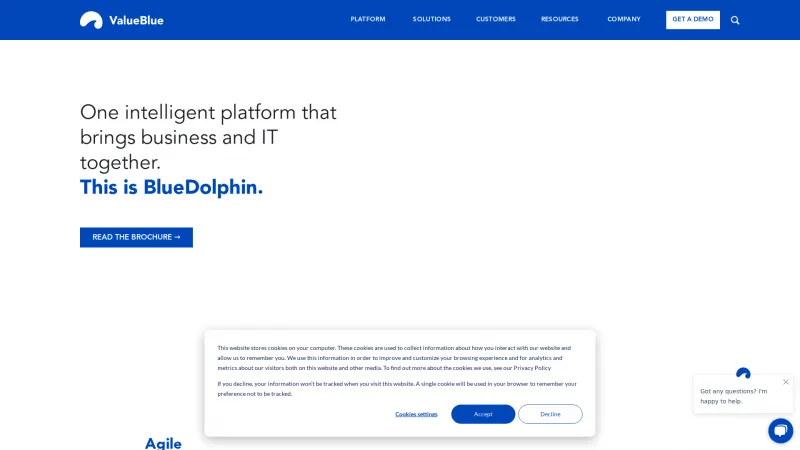 Homepage of BlueDolphin