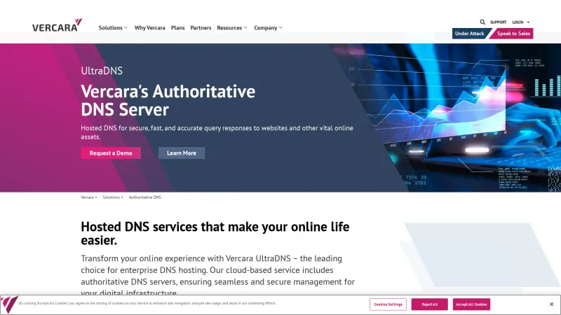 Homepage of UltraDNS