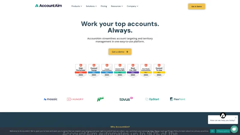 Homepage of AccountAim