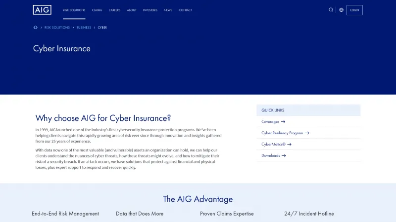 Homepage of AIG