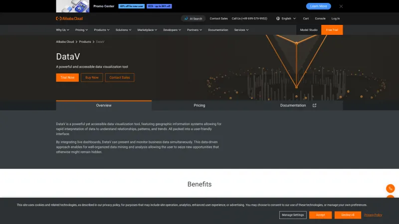 Homepage of DataV