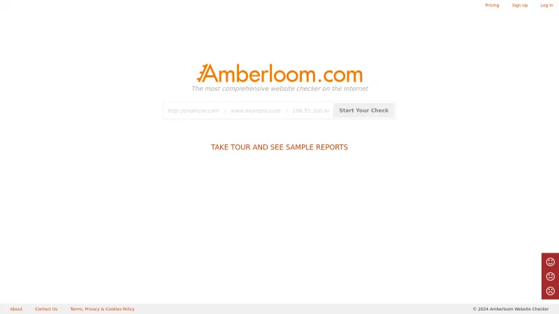 Homepage of Amberloom Website Checker