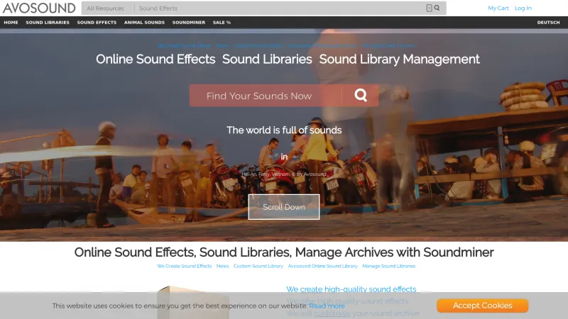 Homepage of Avosound