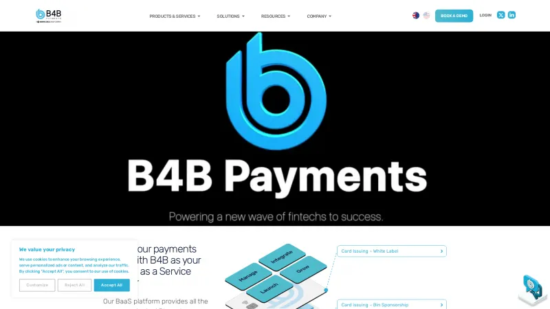 Homepage of B4B Payments