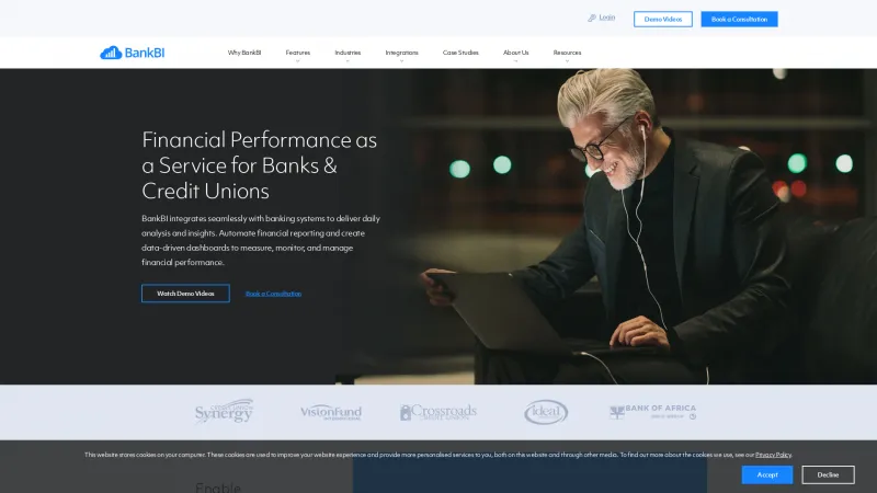 Homepage of BankBI