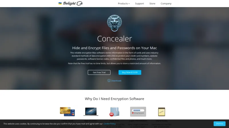 Homepage of Concealer