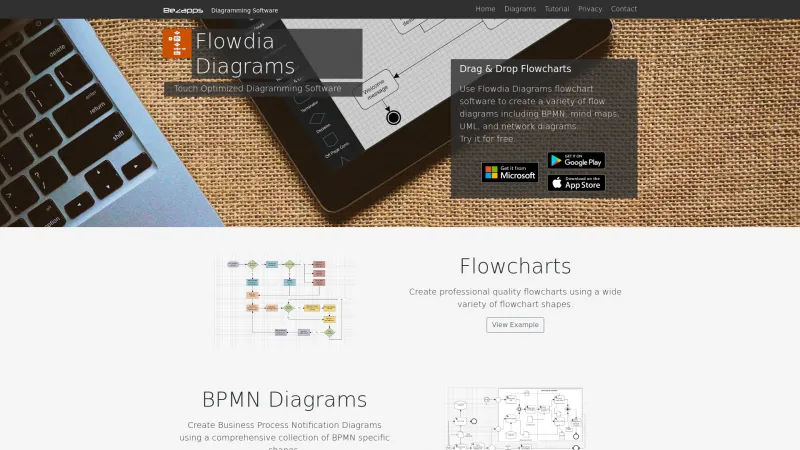 Homepage of Flowdia