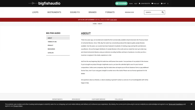 Homepage of Big Fish Audio