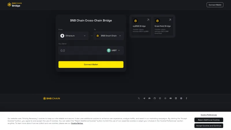 Homepage of Binance Bridge