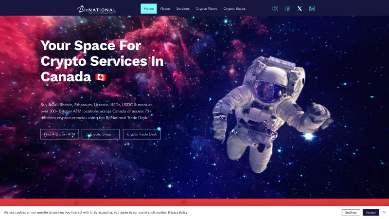 Homepage of BitNational