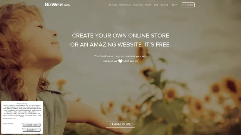 Homepage of BizWebs