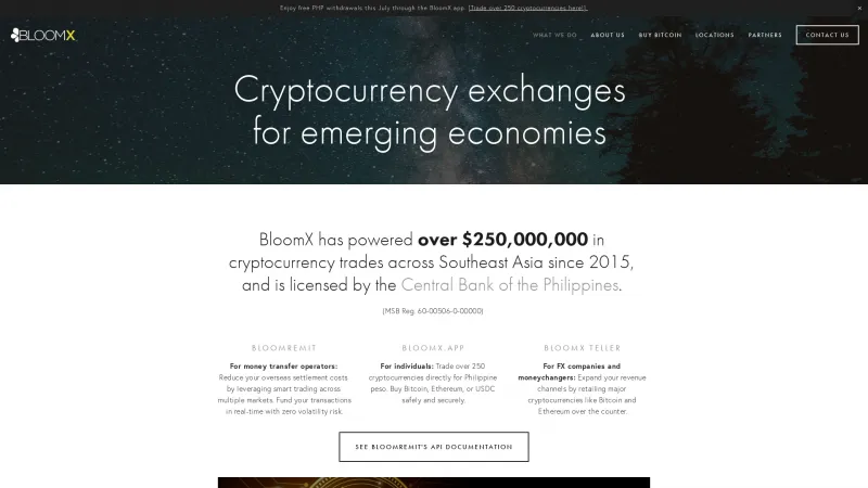 Homepage of BloomX