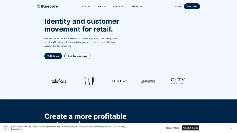 Homepage of Bluecore