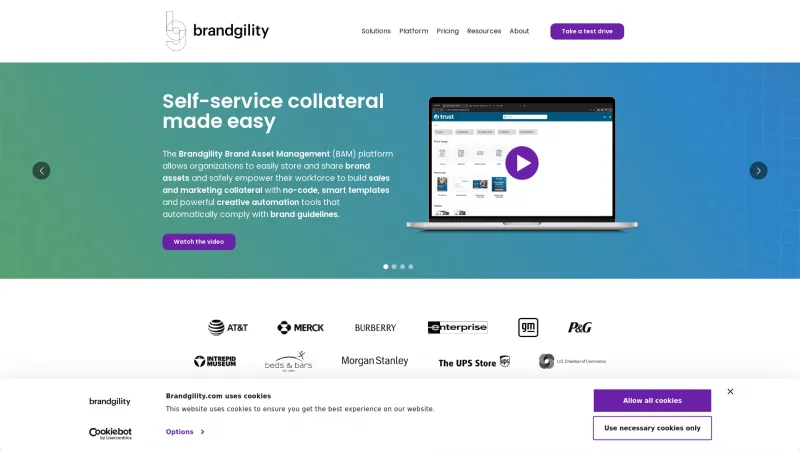 Homepage of Brandgility