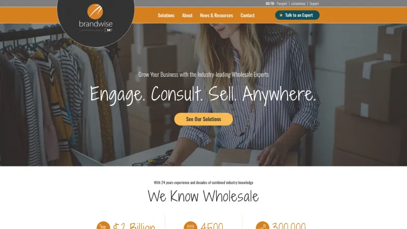 Homepage of Brandwise