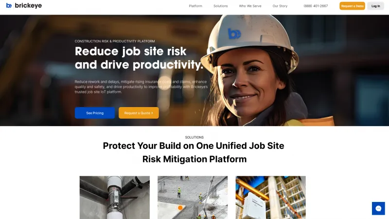 Homepage of Brickeye