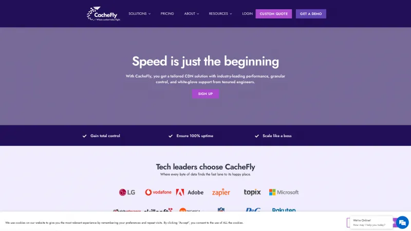 Homepage of CacheFly