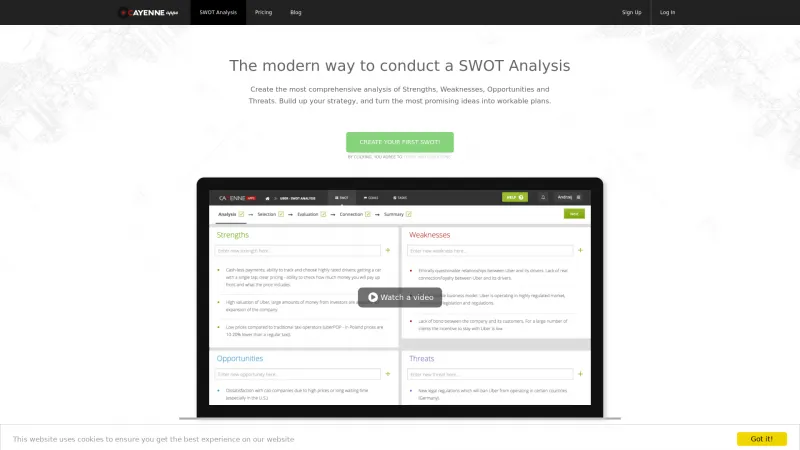 Homepage of CayenneApps SWOT Analysis