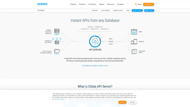 Homepage of CData API Server