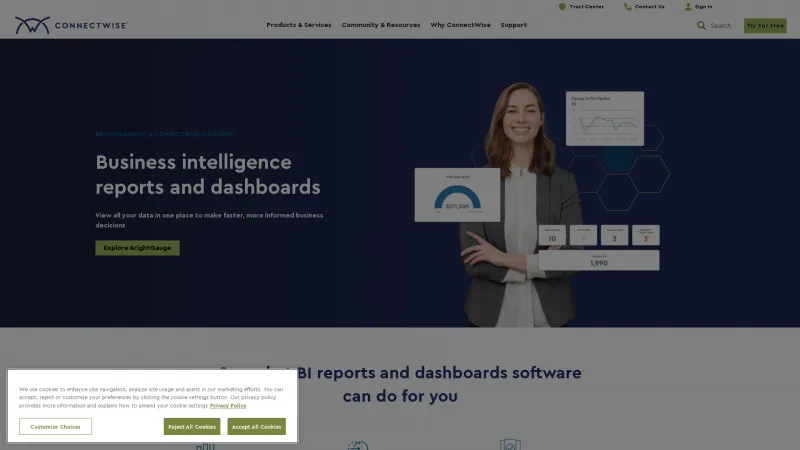 Homepage of BrightGauge