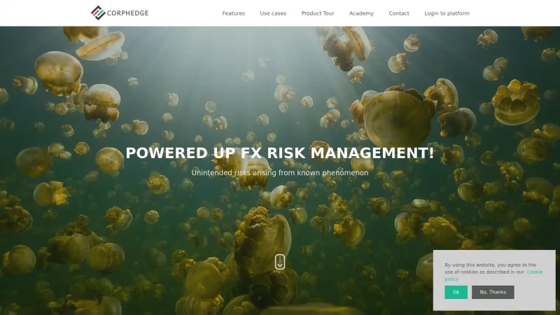 Homepage of CorpHedge