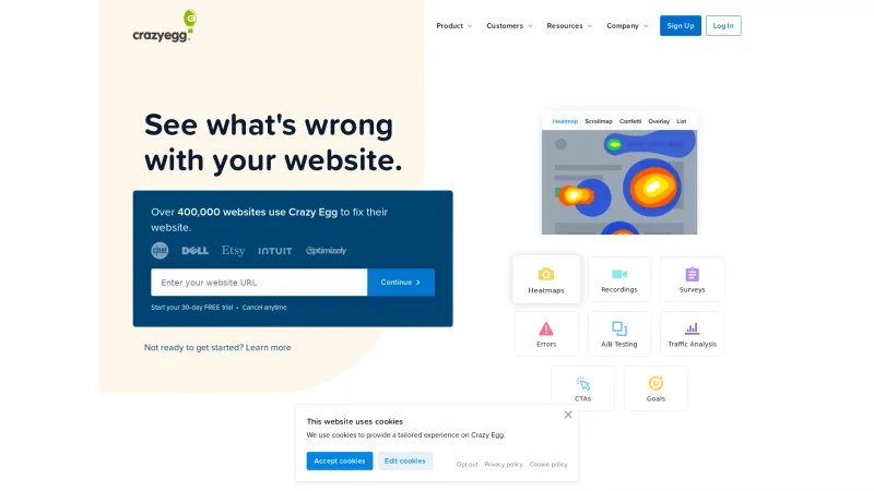 Homepage of Crazy Egg