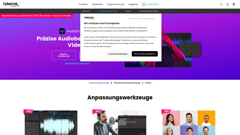 Homepage of AudioDirector