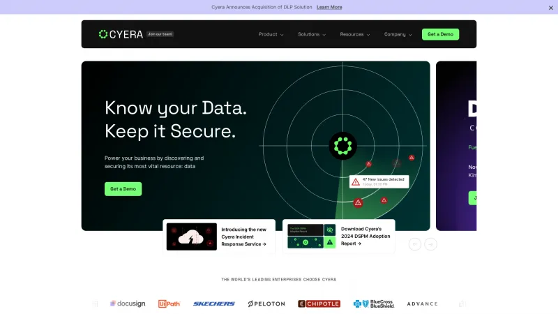 Homepage of Cyera