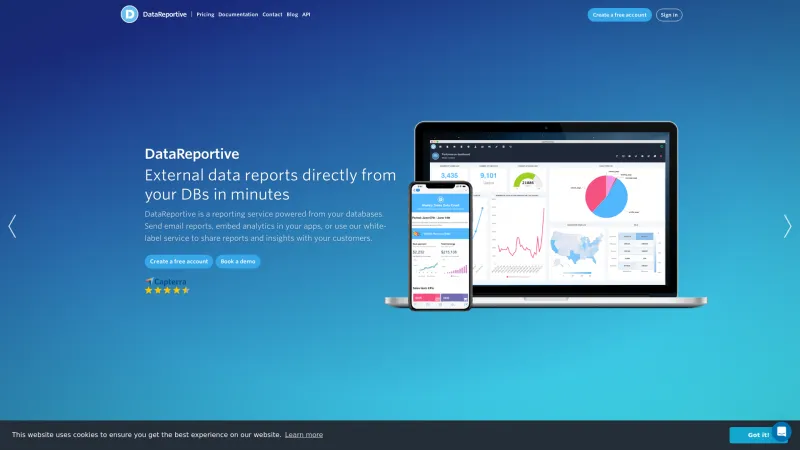 Homepage of DataReportive