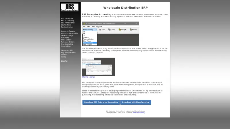 Homepage of BS1 Enterprise Accounting