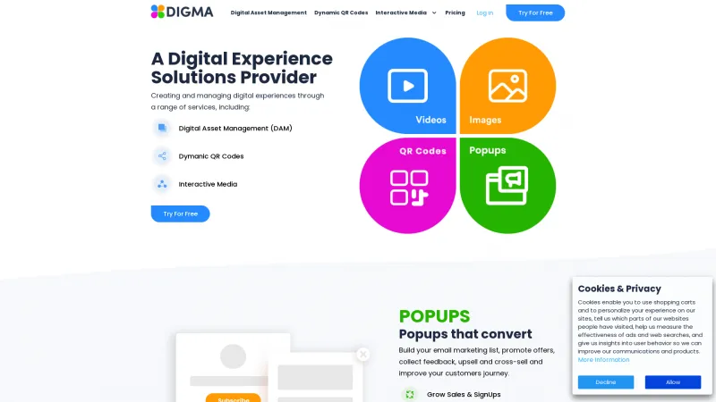 Homepage of Digma