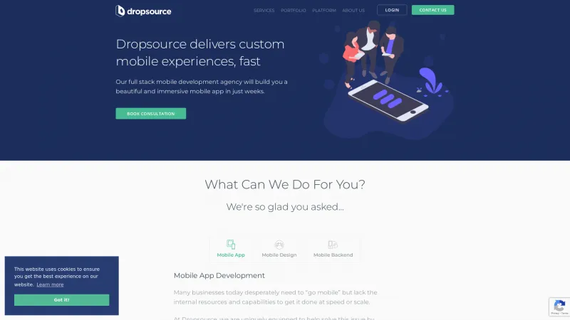 Homepage of Dropsource