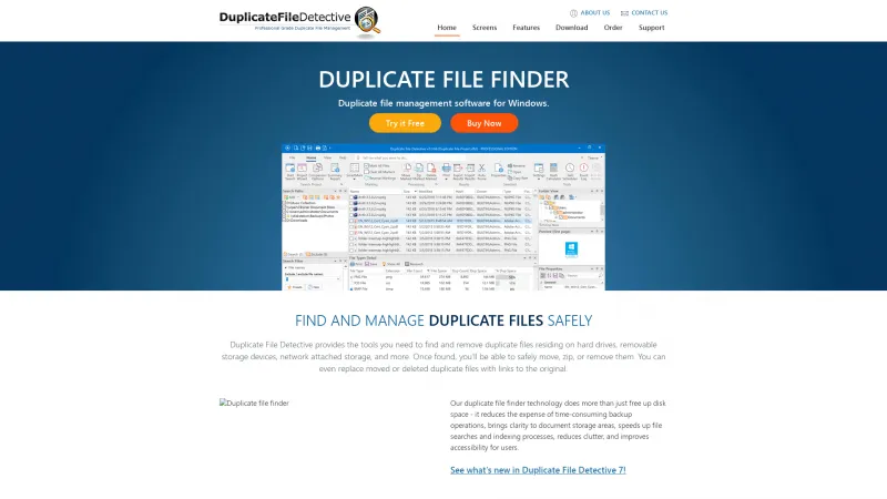 Homepage of Duplicate File Detective