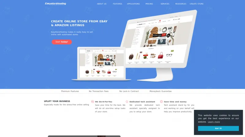 Homepage of EasyStoreHosting