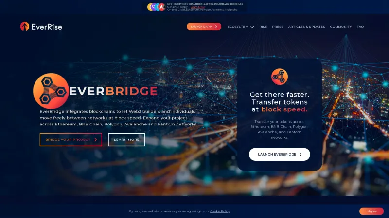 Homepage of EverBridge