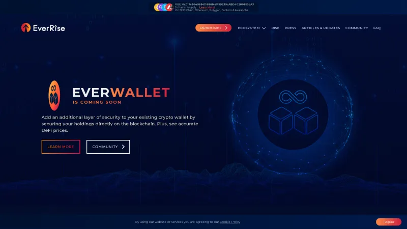 Homepage of EverWallet