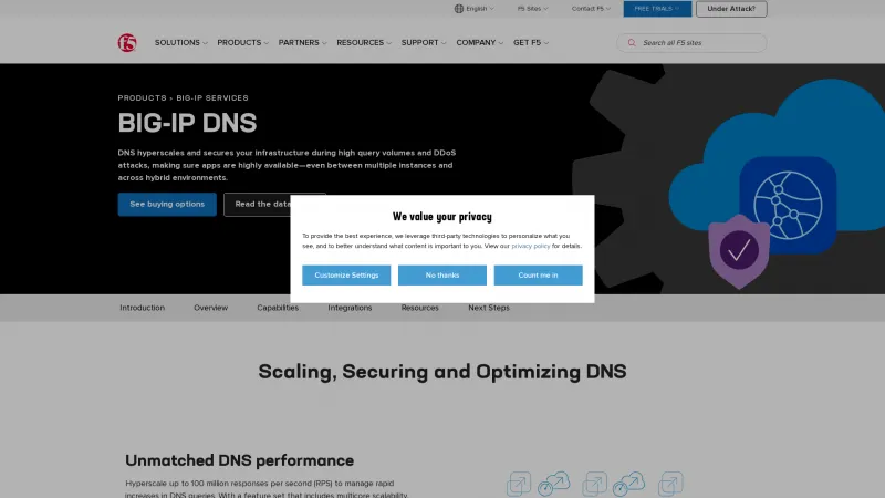 Homepage of F5 DNS Delivery