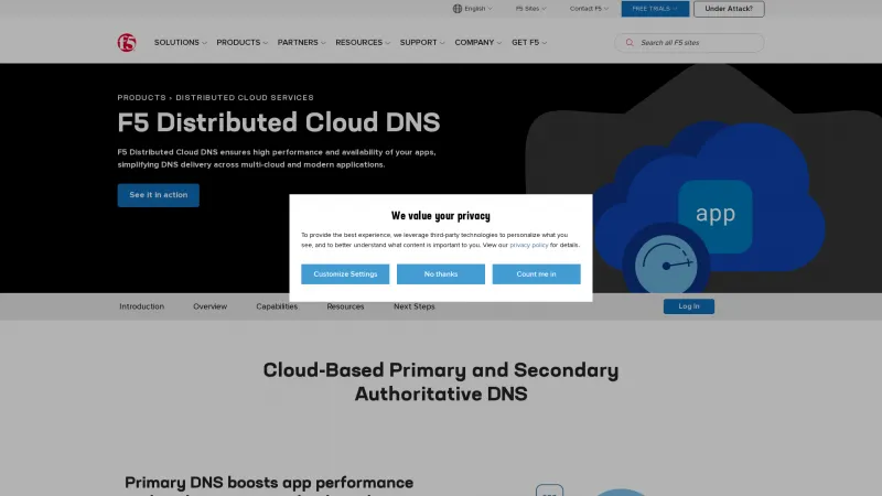 Homepage of F5 DNS Cloud Service