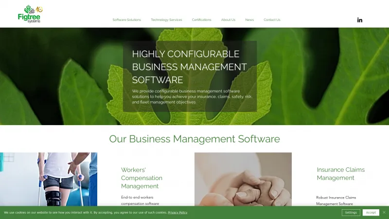 Homepage of Figtree Systems