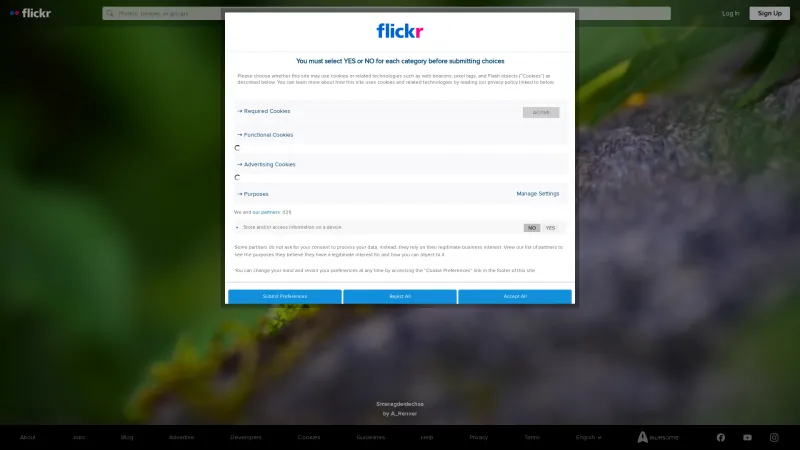 Homepage of Flickr