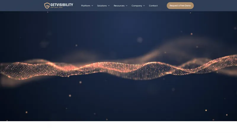 Homepage of Getvisibility